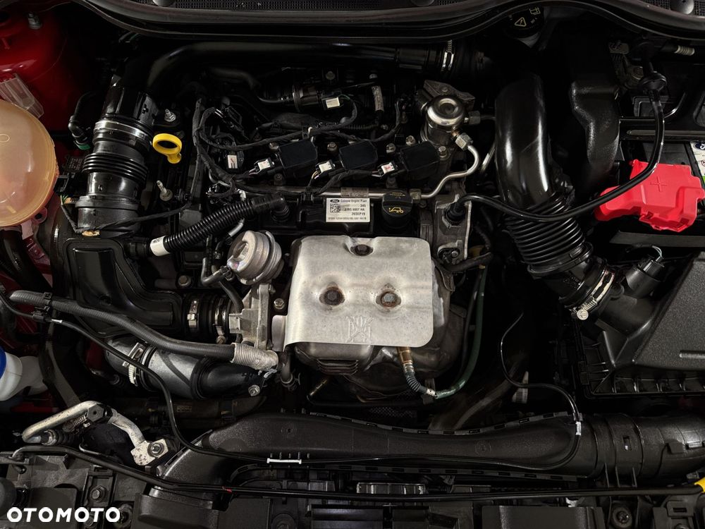 Ford Fiesta - 25