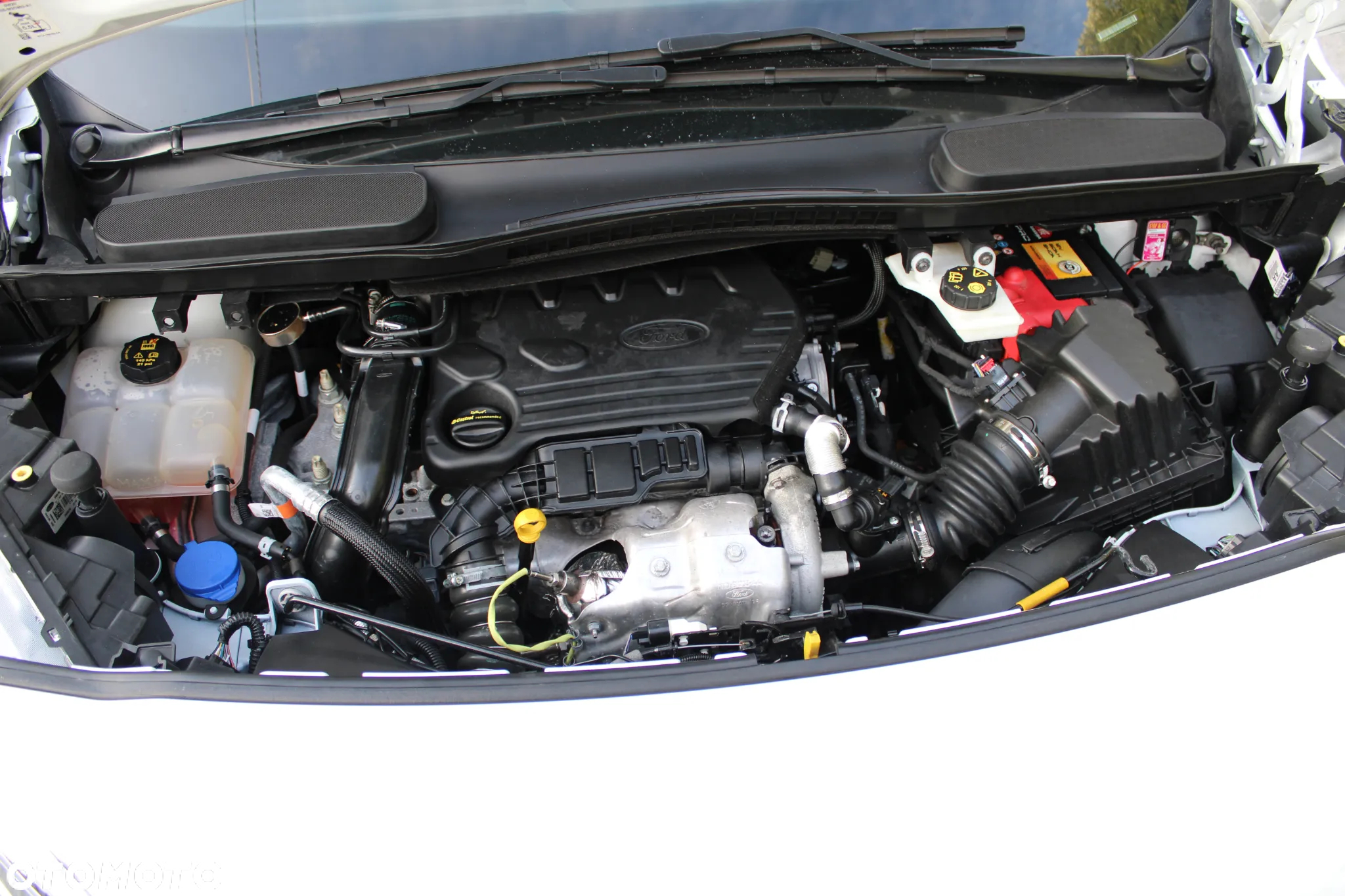 Ford TRANSIT CONNECT - 24
