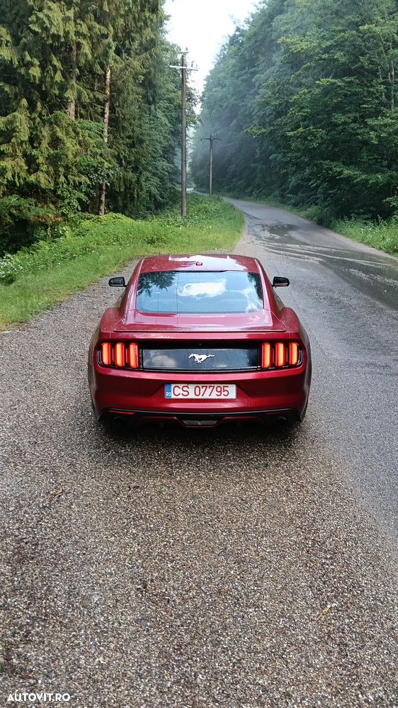 Ford Mustang 2.3 EcoBoost Aut. - 13