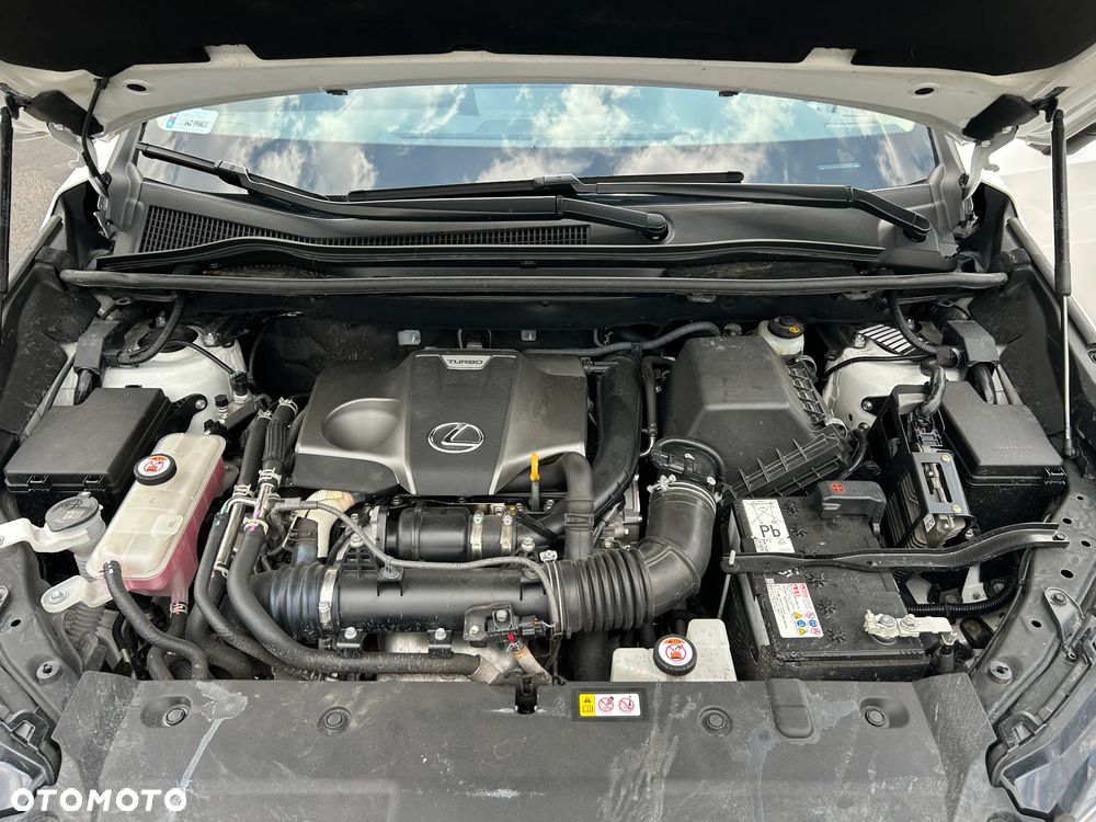 Lexus NX 300 Prestige AWD - 2