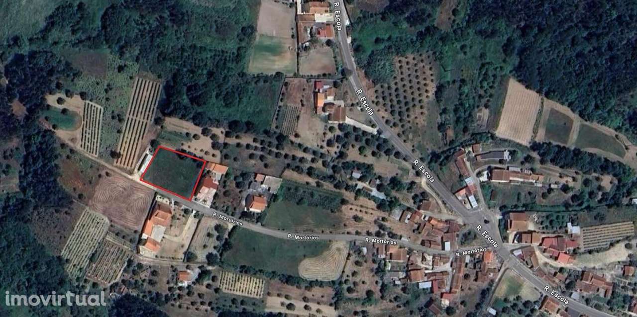 Olival - Grande imagem: 2/3