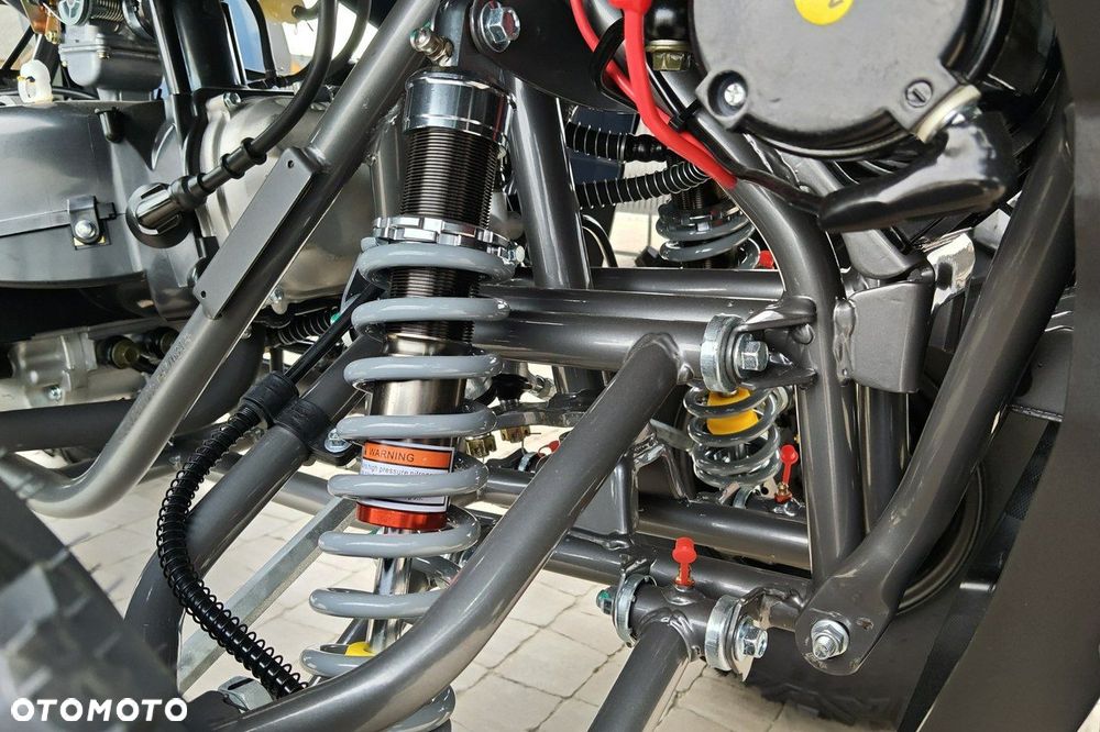 Diabolini Inny - 13