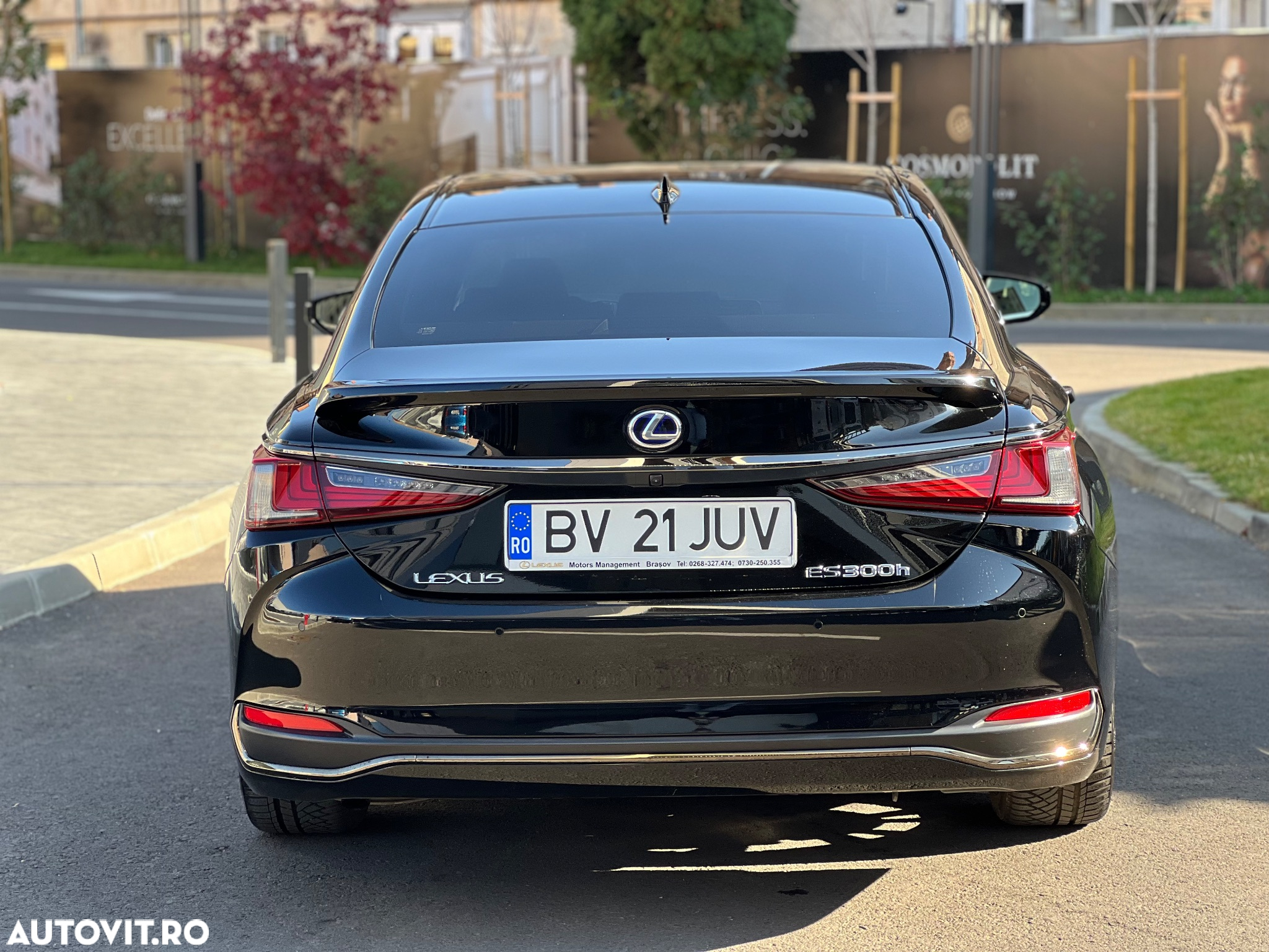 Lexus Seria ES 300h F Sport - 9