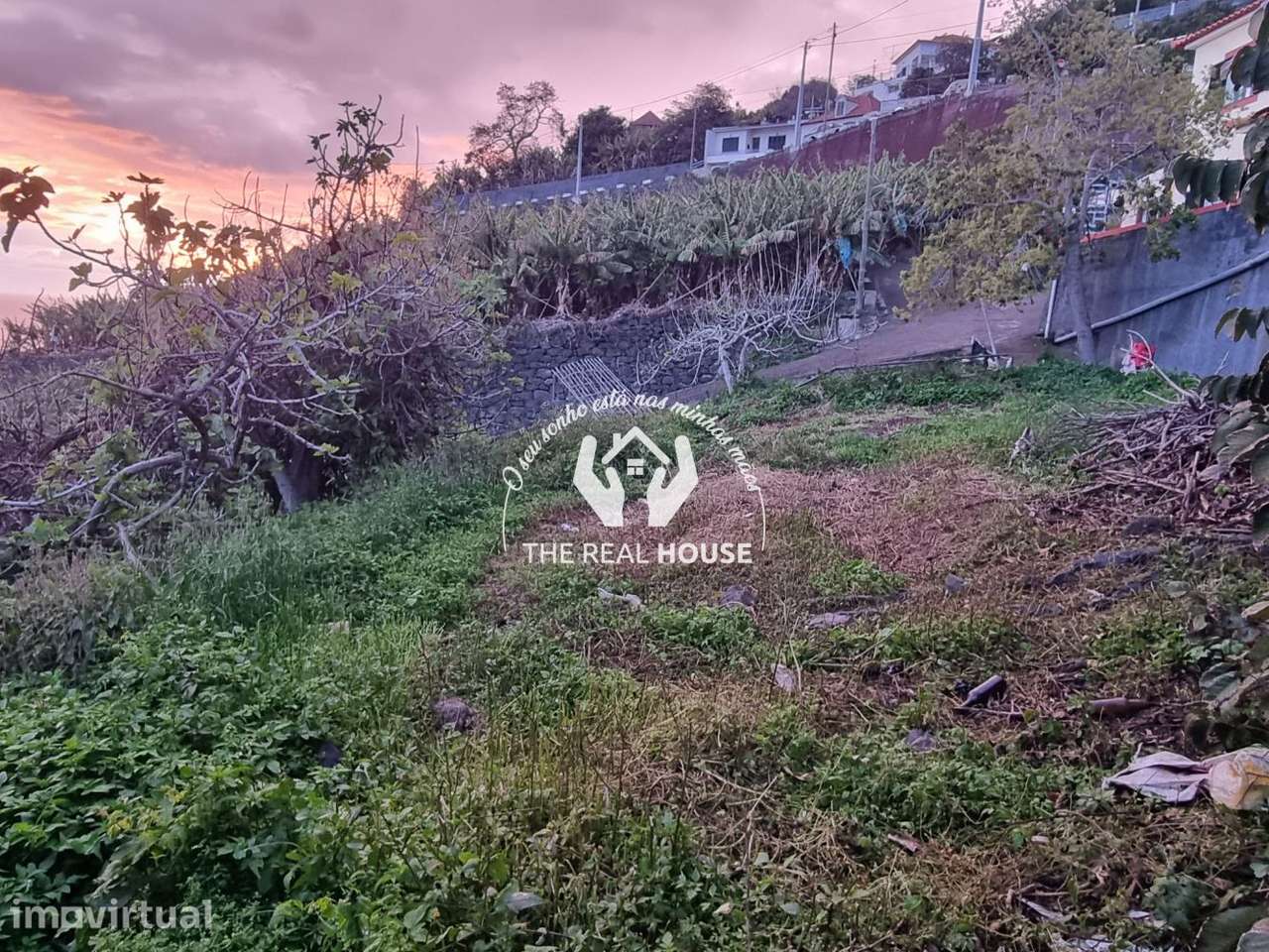 Terreno Ribeira brava - Grande imagem: 2/6