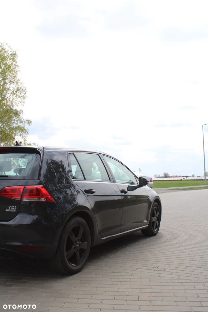 Volkswagen Golf - 12