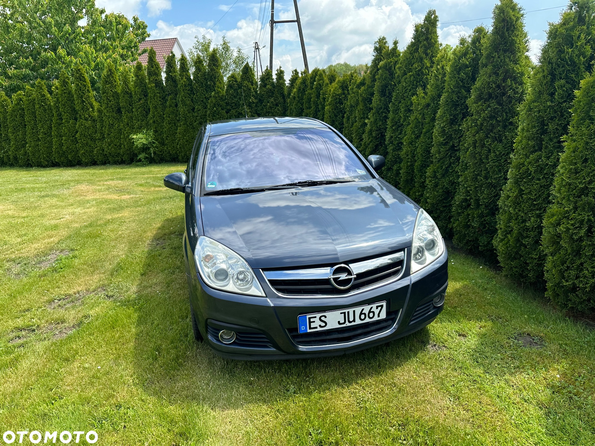 Opel Signum 1.8 Business - 19