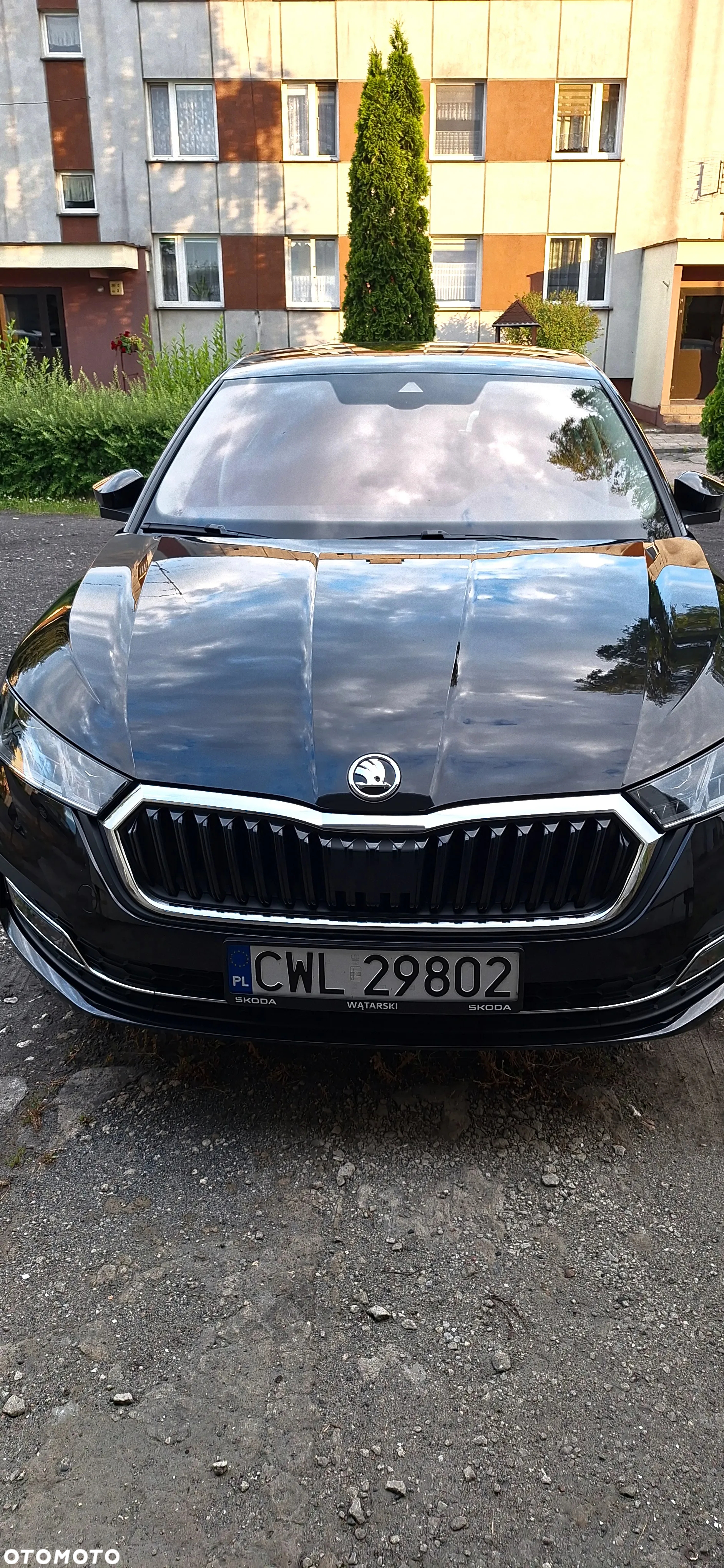 Skoda Octavia - 7