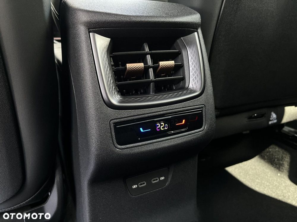 Cupra Terramar 2.0 TSI 4Drive DSG - 21
