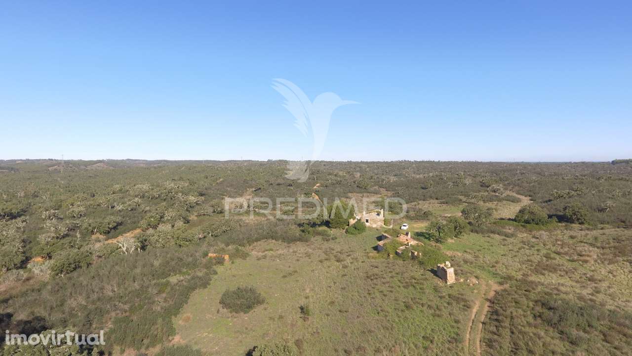 Herdade com 71 hectares e ruína de 174m2 - Grande imagem: 5/21