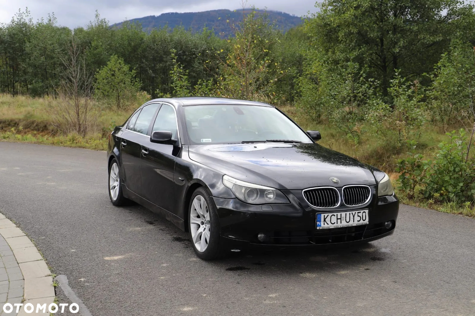 BMW Seria 5 530i - 3