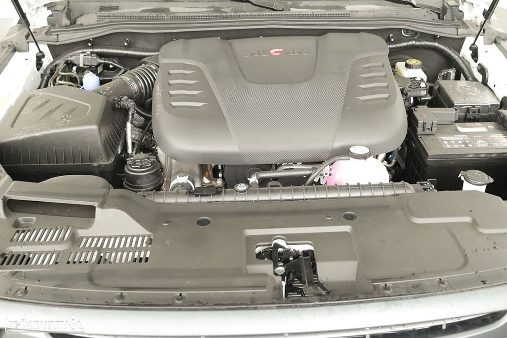 Foton Tunland - 24