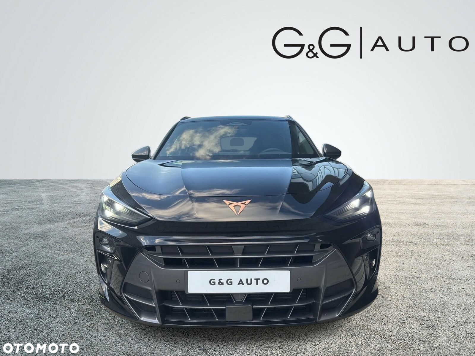 Cupra Terramar - 3