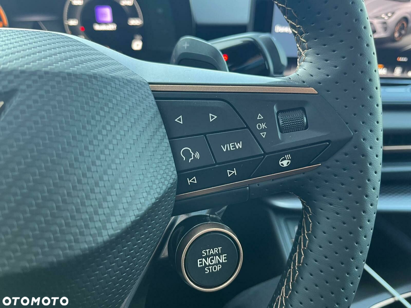 Cupra Terramar - 16