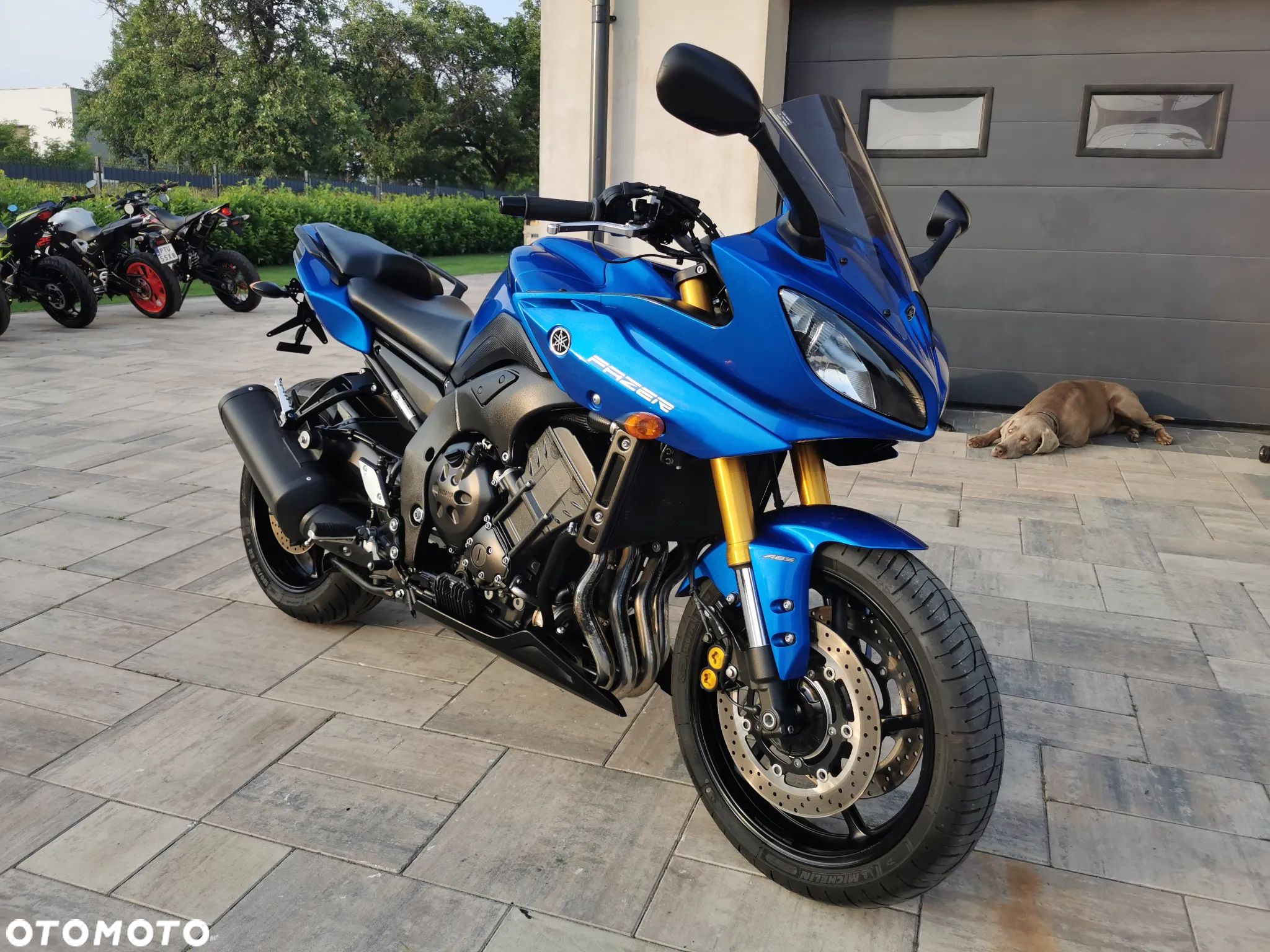 Yamaha FZ8 - 1
