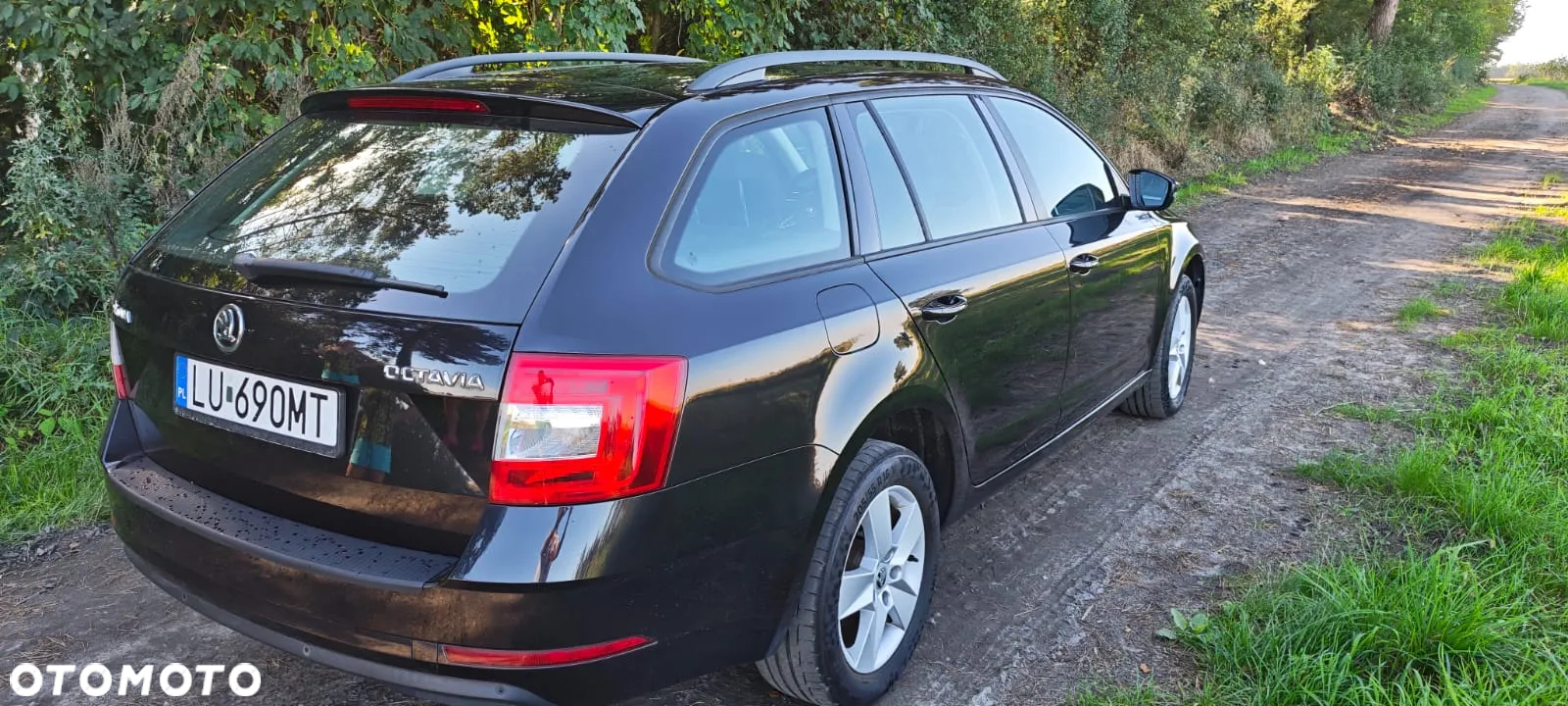 Skoda Octavia - 5
