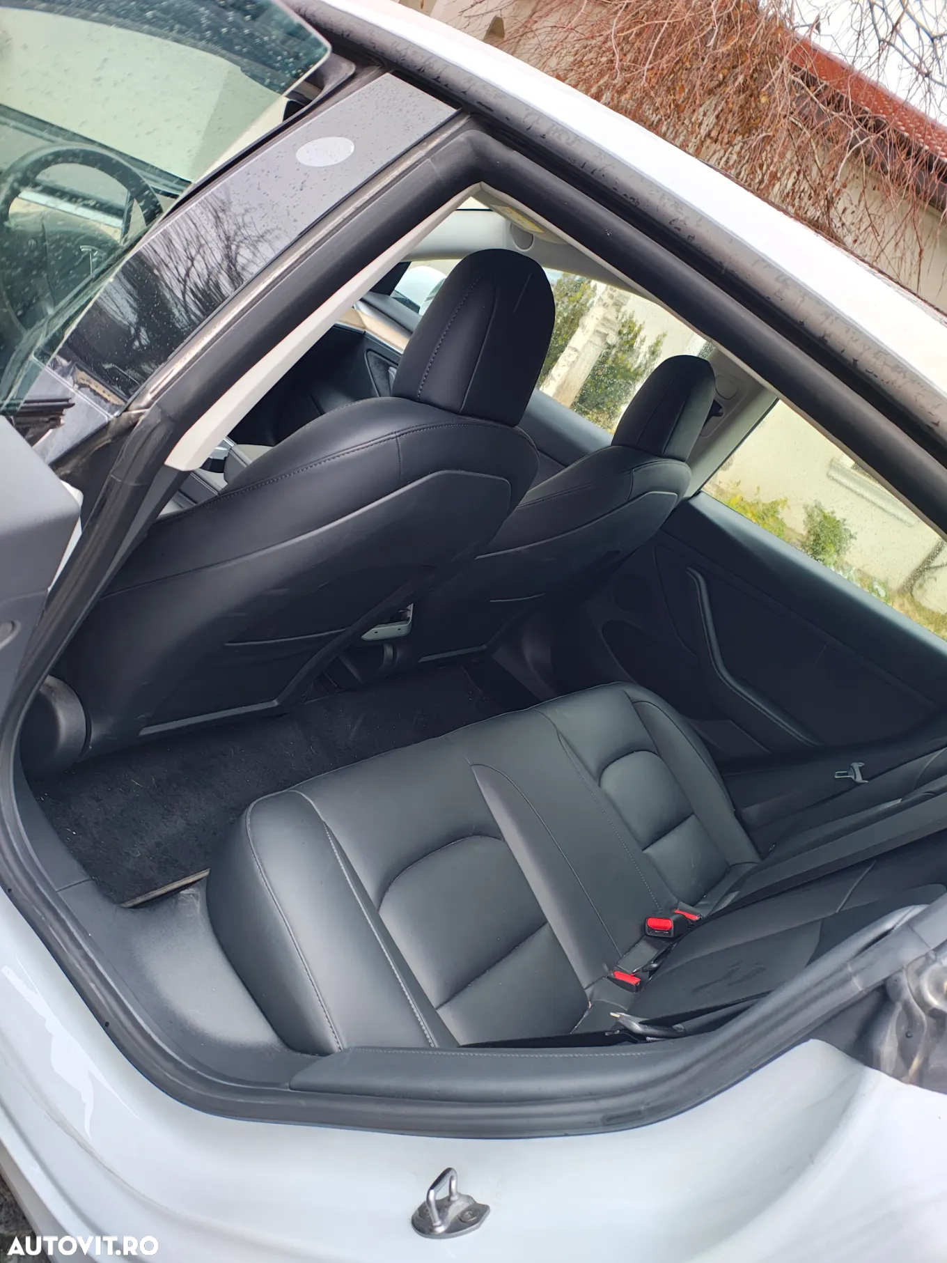 Tesla Model 3 - 17