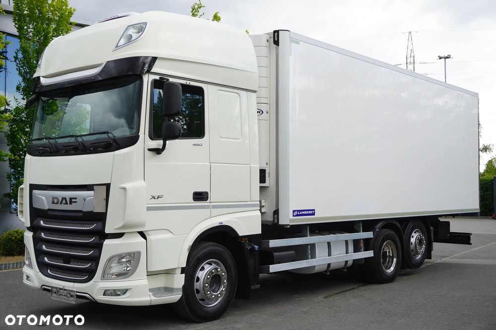 DAF XF 480 Euro 6 / 2021 / Chłodnia Lamberet / Carrier Vector 1550_221299 - 1