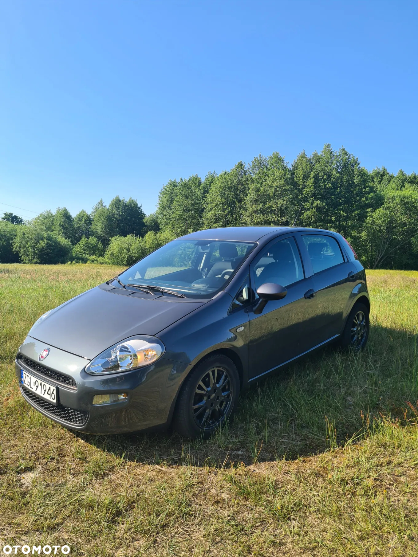 Fiat Punto - 8