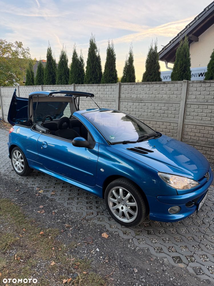Peugeot 206 - 19