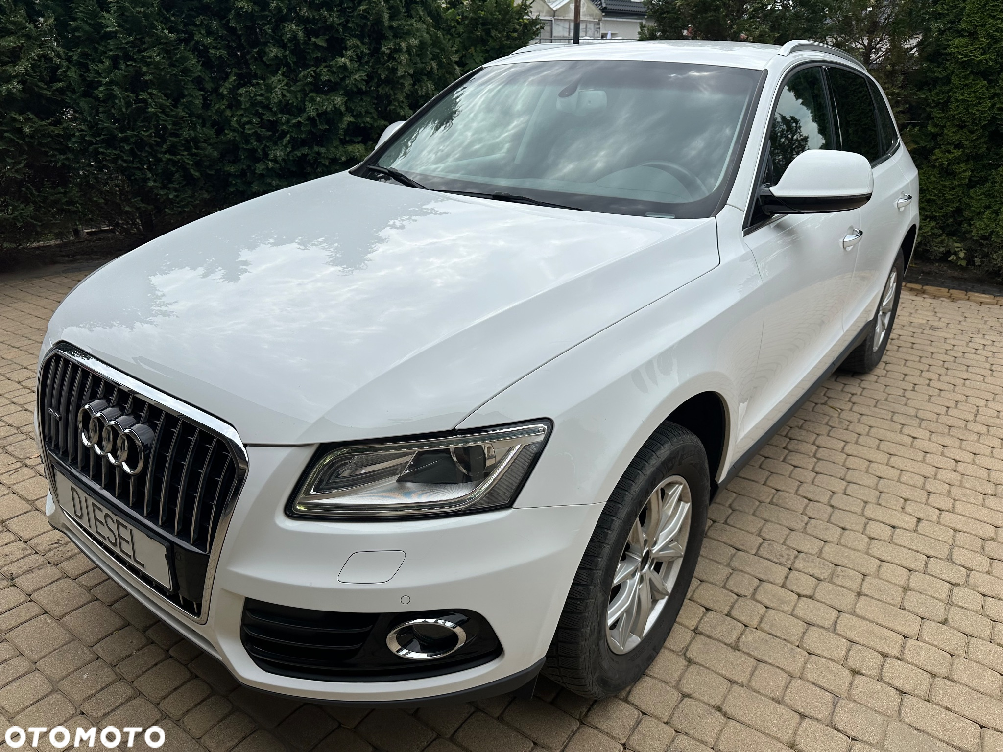 Audi Q5 2.0 TDI clean diesel Quattro S tronic - 2