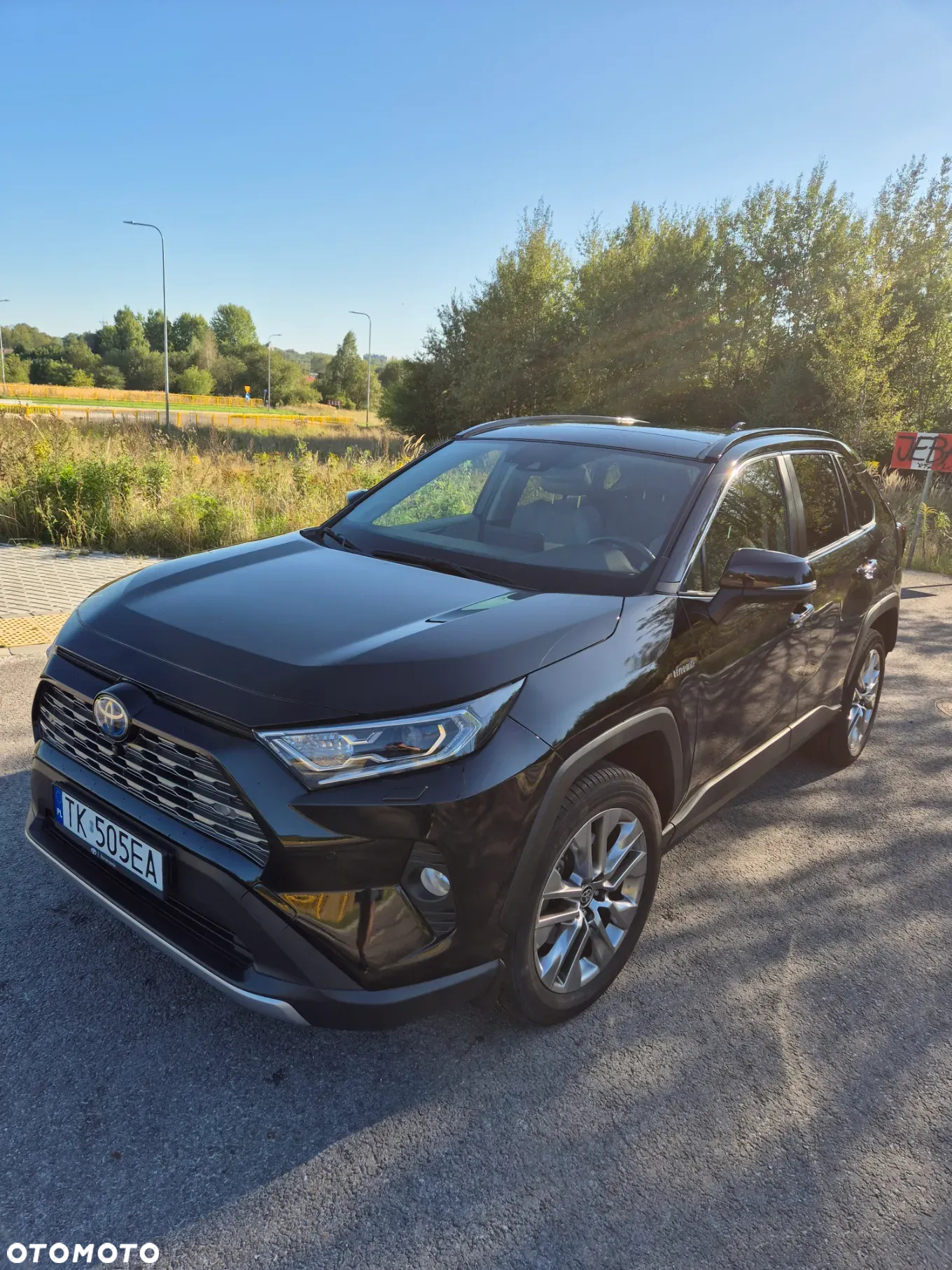 Toyota RAV4 2.5 Hybrid Executive 4x4 - 5
