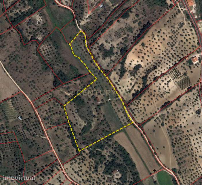 Terreno Rústico com 29.880 m² nas Lapas, Torres Novas - Grande imagem: 2/14