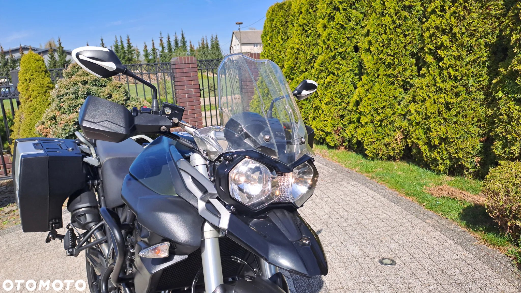 Triumph Tiger - 15