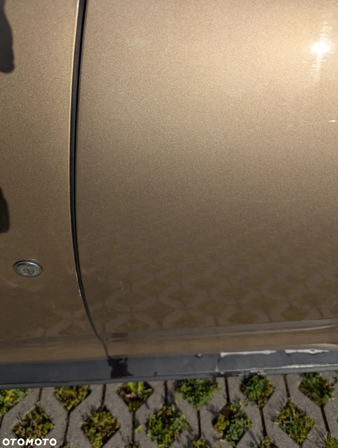 Dacia Duster 1.6 SCe Access S&S - 15