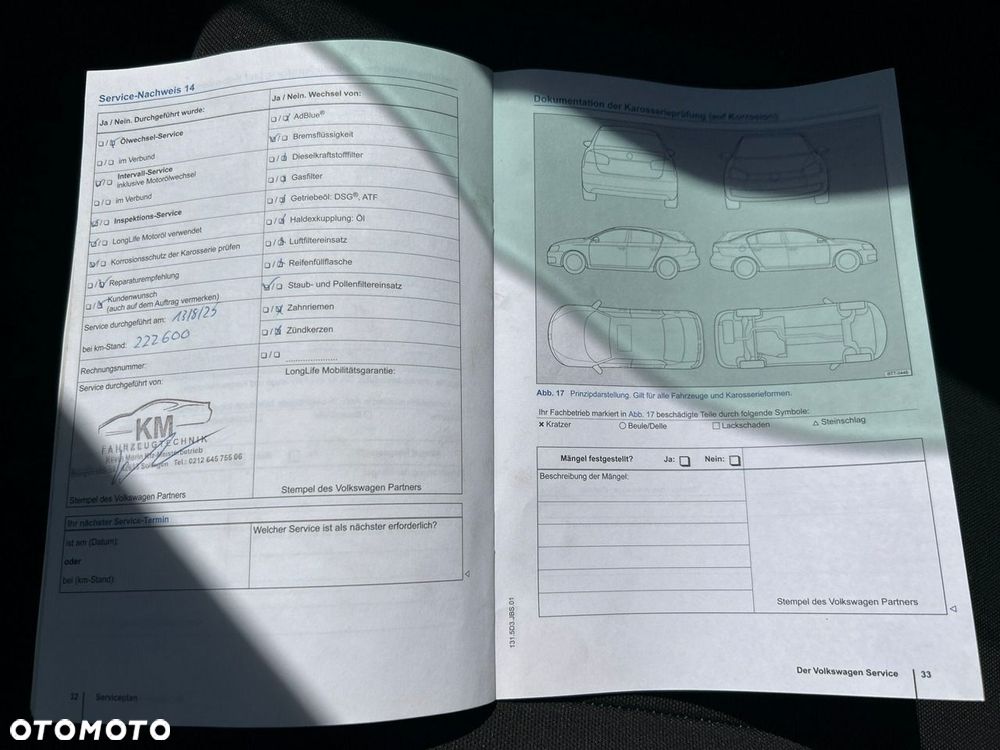 Volkswagen Beetle - 9
