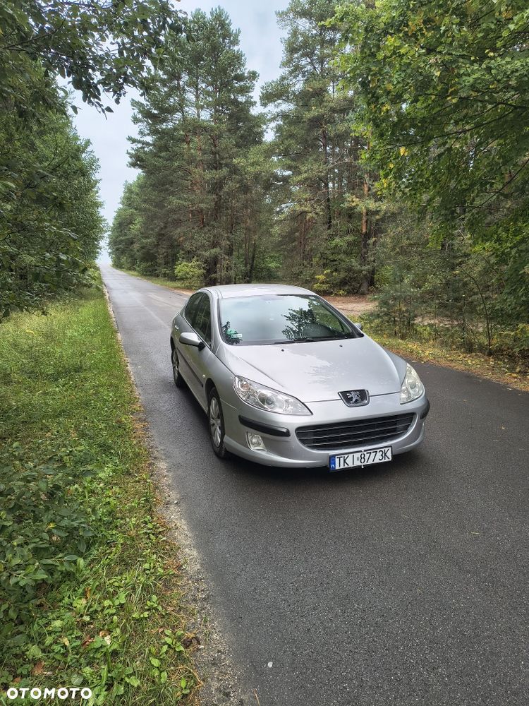 Peugeot 407 - 2