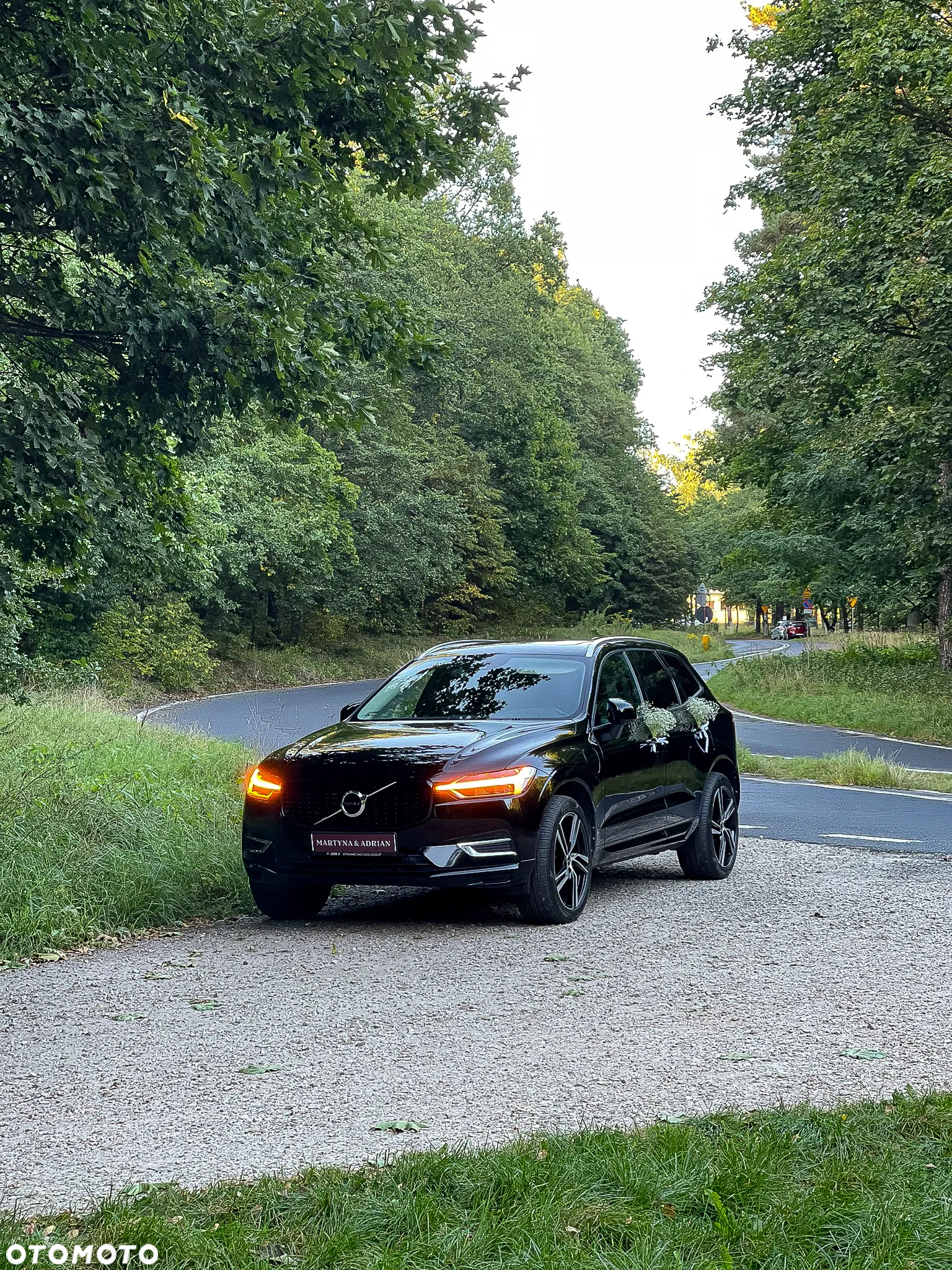 Volvo XC 60 T8 AWD Plug-In Hybrid Momentum Pro - 39
