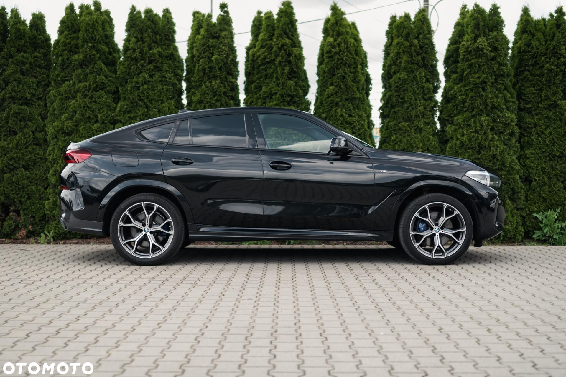 BMW X6 - 8