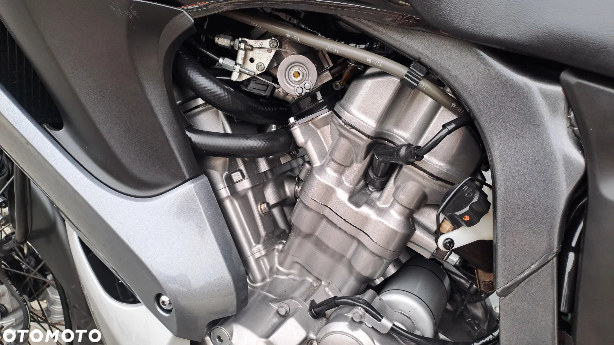 Honda XL - 25