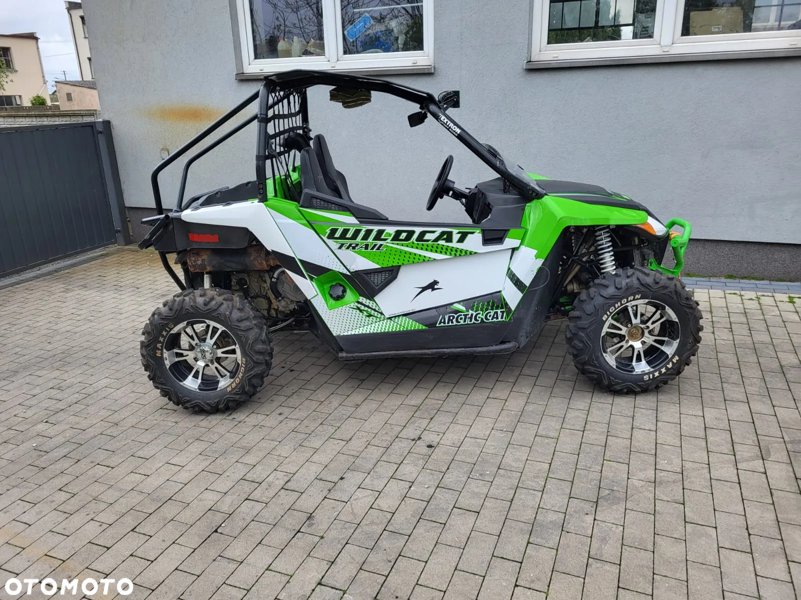 Arctic Cat Inny