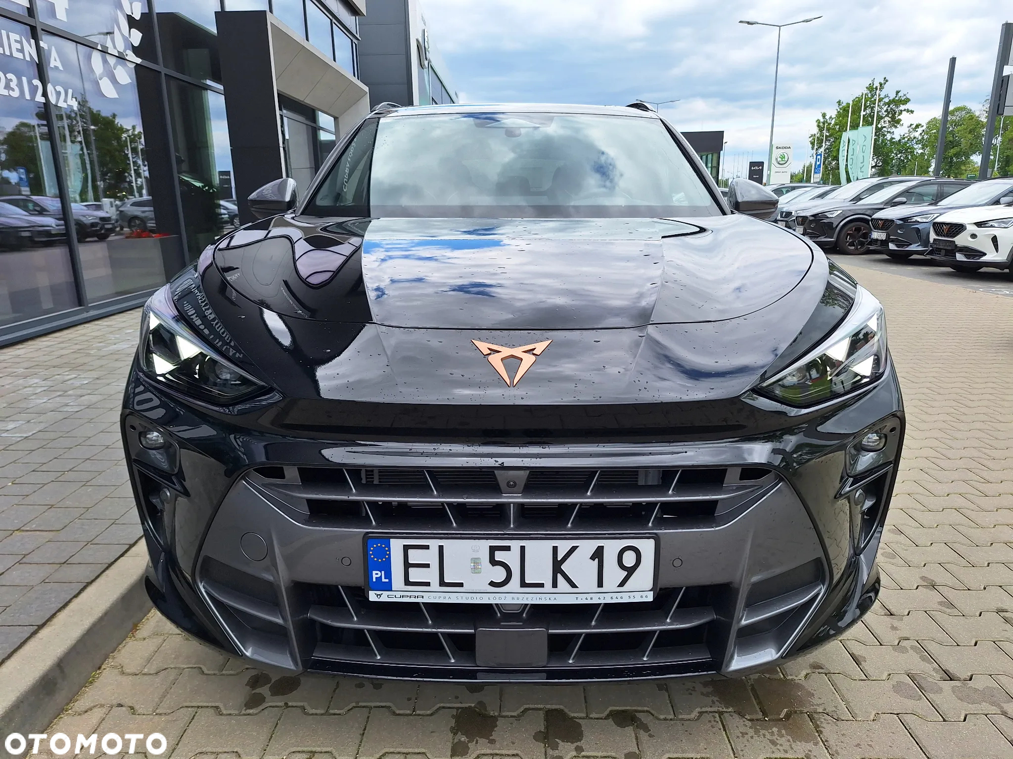 Cupra Terramar - 3