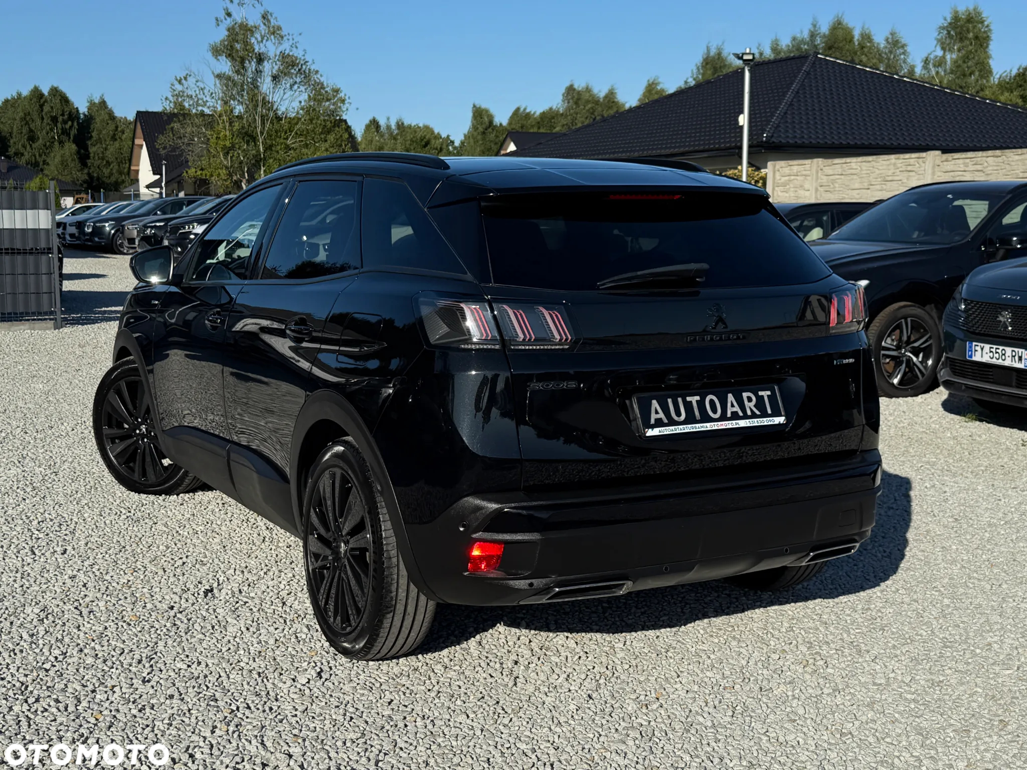 Peugeot 3008 - 11