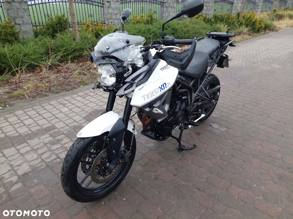 Triumph Tiger - 1