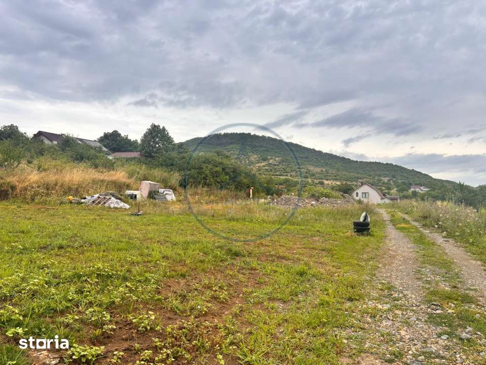 Teren intravilan cu utilitati, 550 mp, in Viisoara - Imagine principală: 4/5