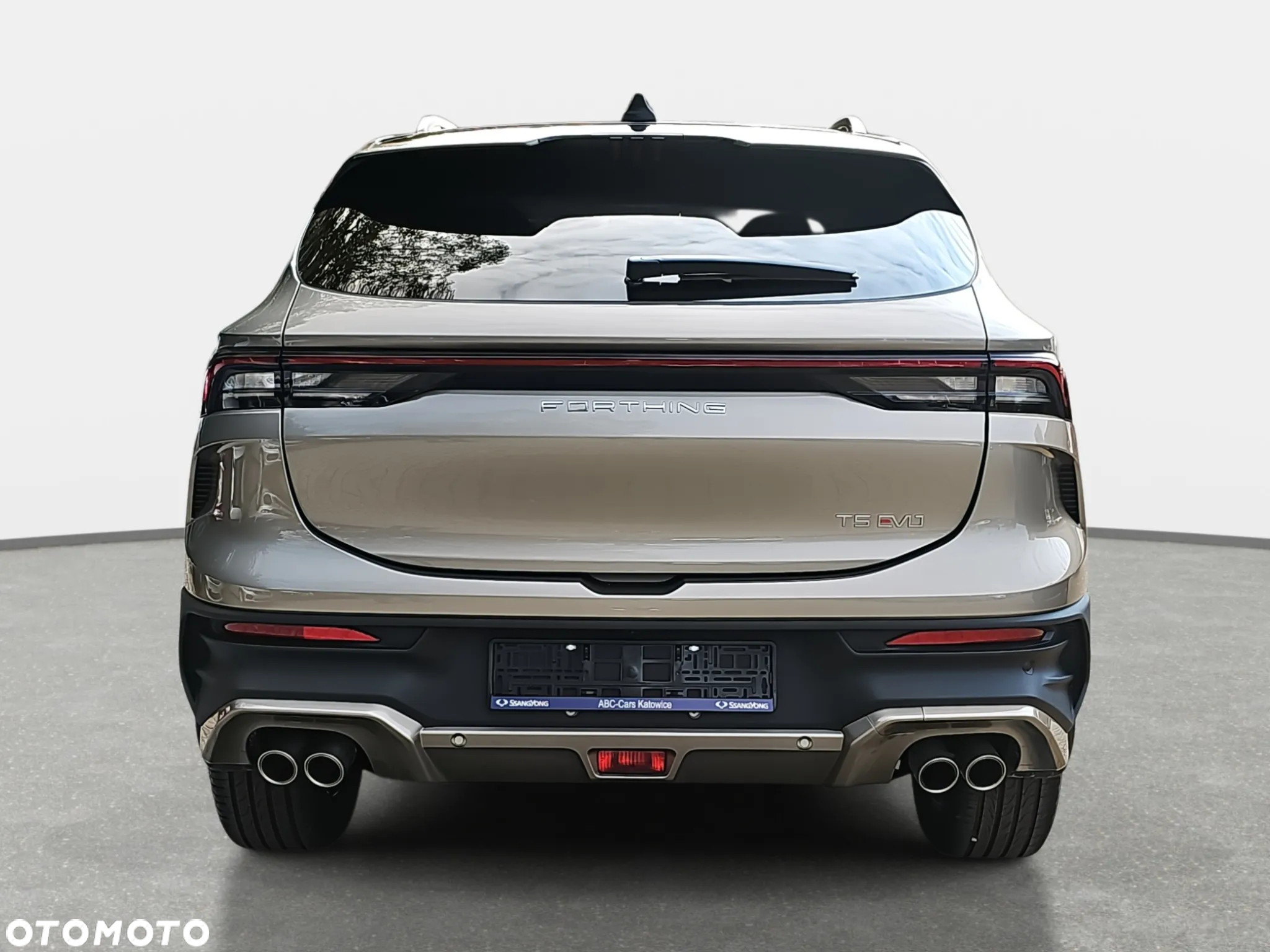 Forthing T5 EVO - 6