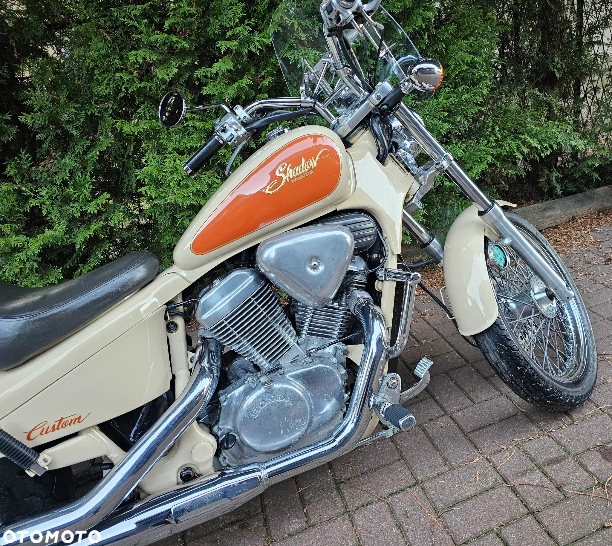 Honda Shadow - 4