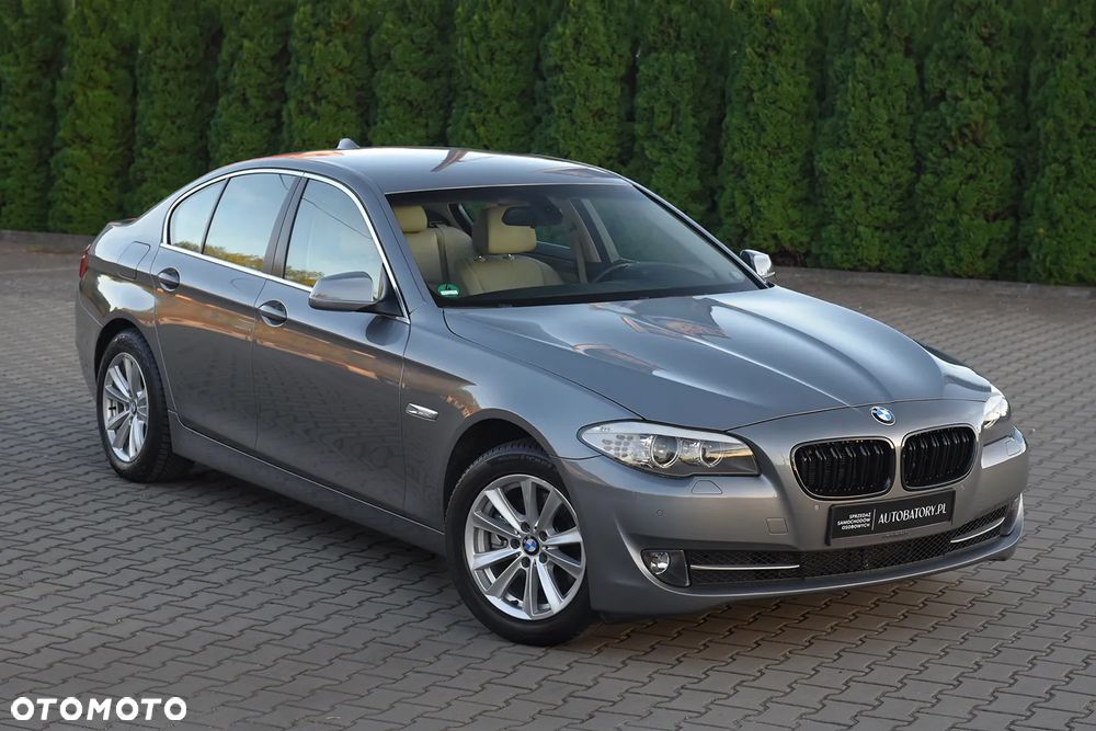 BMW Seria 5 520d - 22