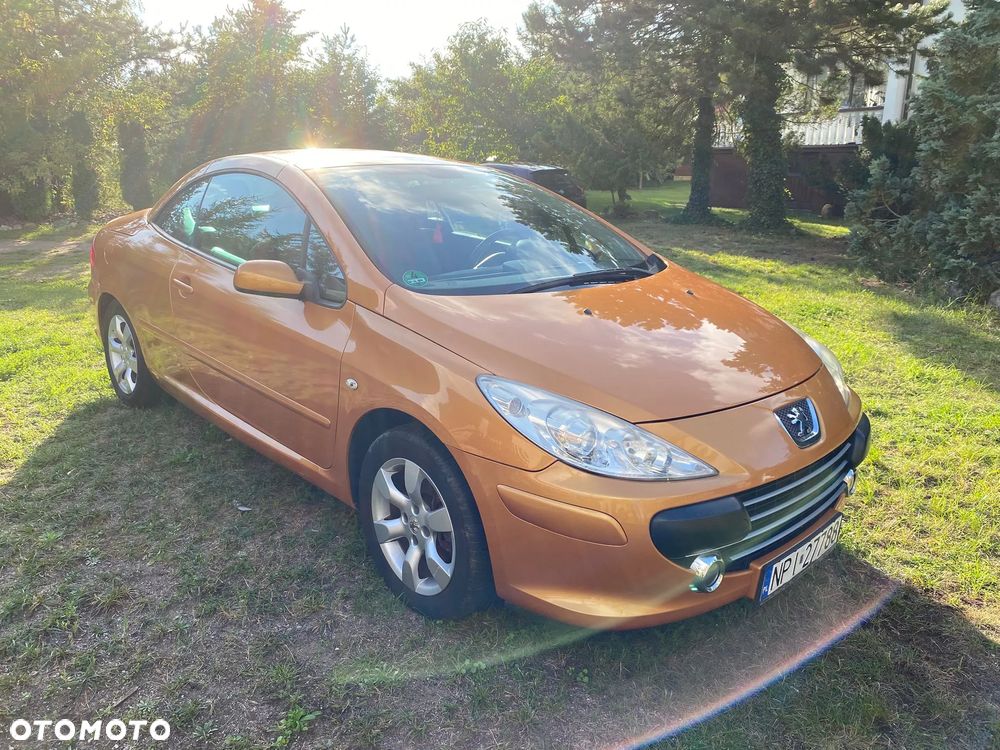 Peugeot 307 - 4