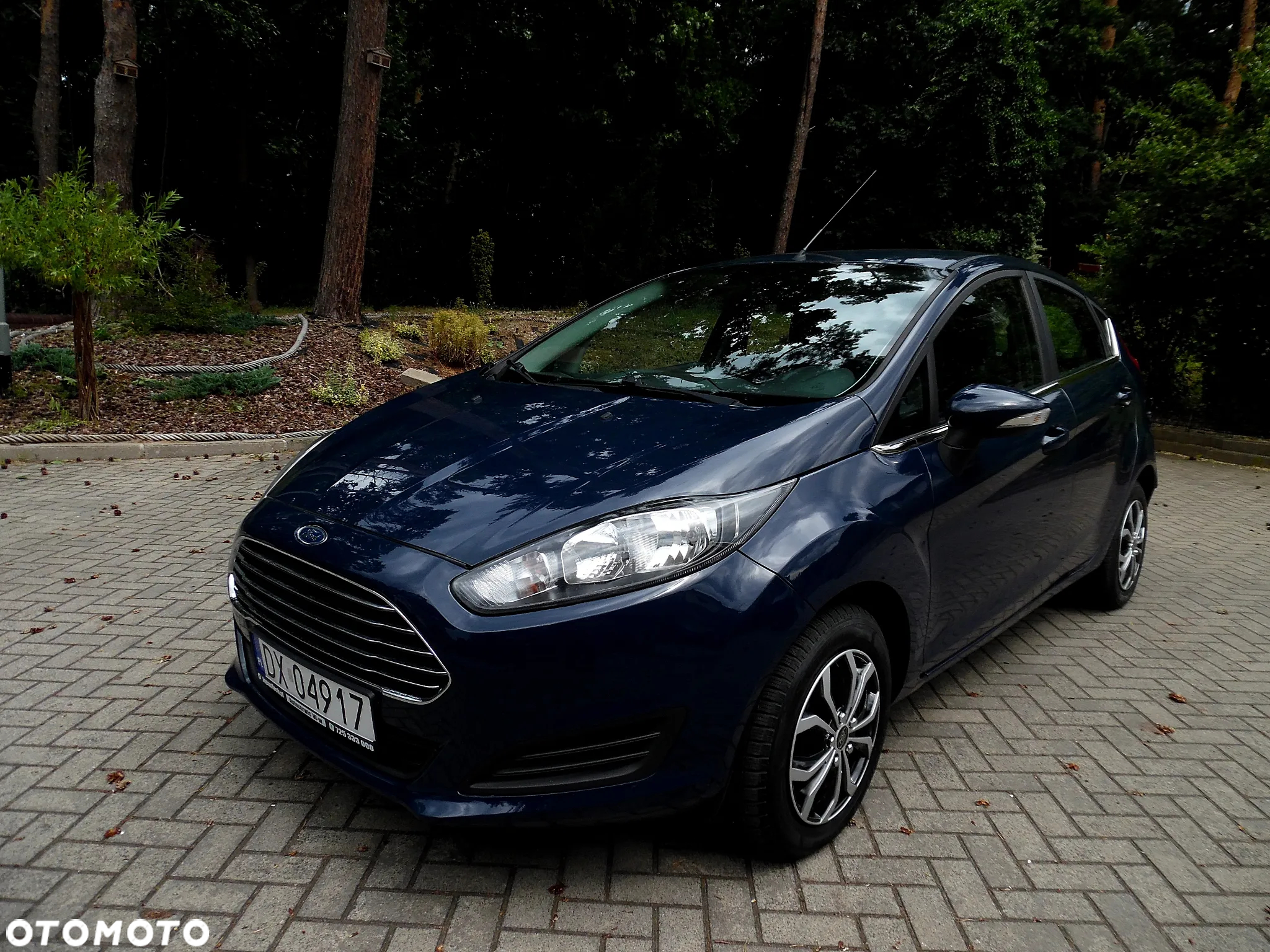 Ford Fiesta - 5