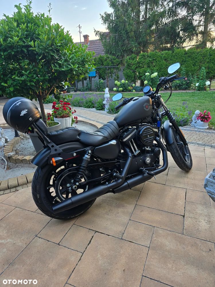 Harley-Davidson Sportster Iron 883 - 6