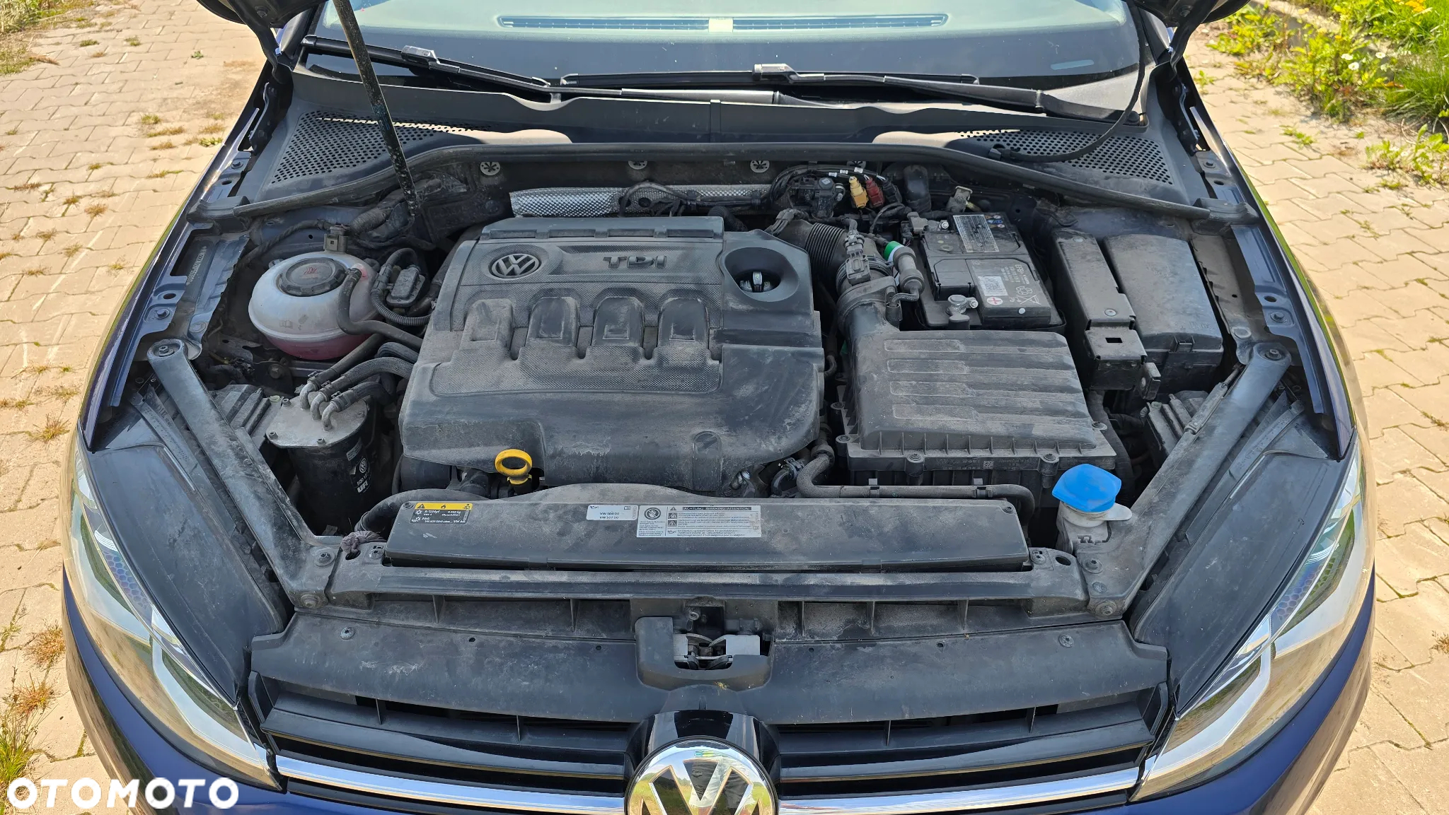 Volkswagen Golf VII 1.6 TDI BMT Comfortline - 40