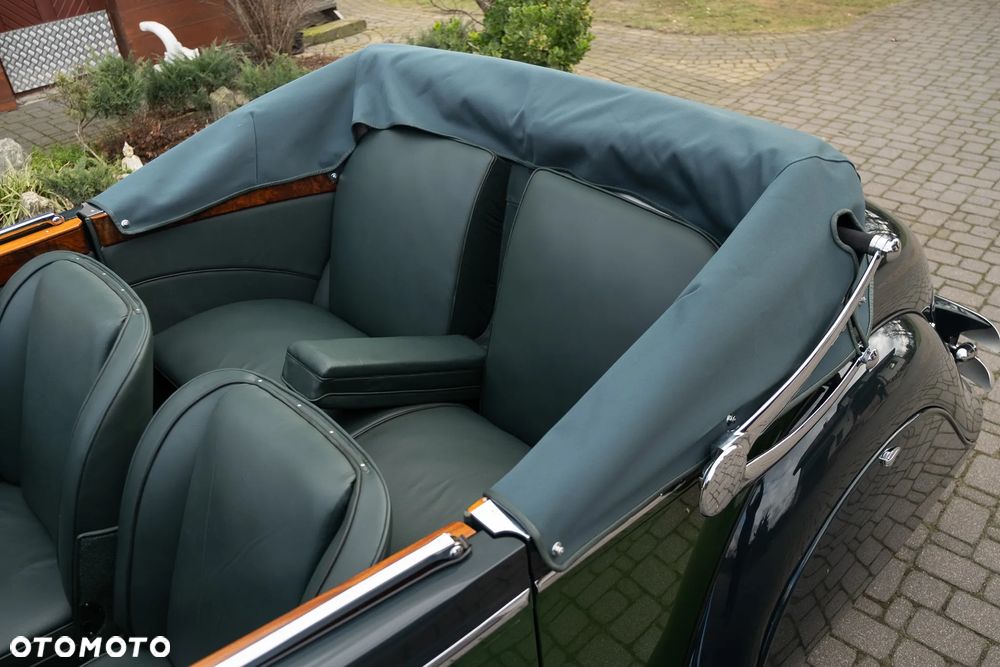 Jaguar Inny - 18