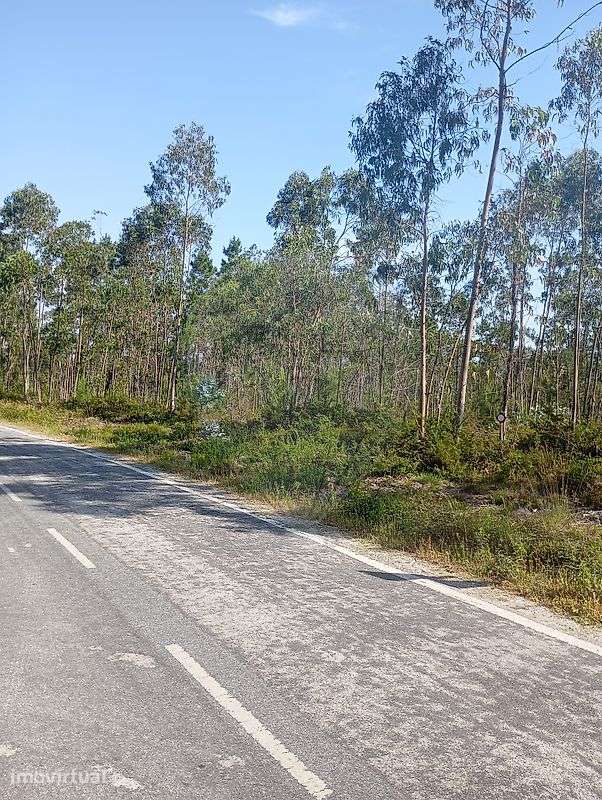 Terreno  para venda - Grande imagem: 5/5
