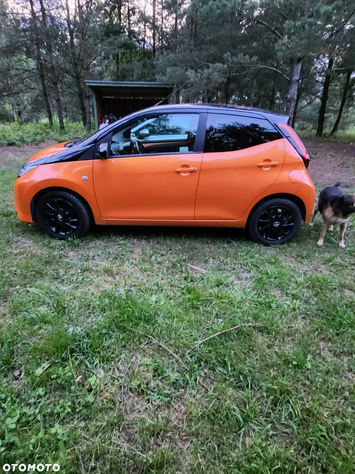 Toyota Aygo 1.0 VVT-i Color Edition - 5
