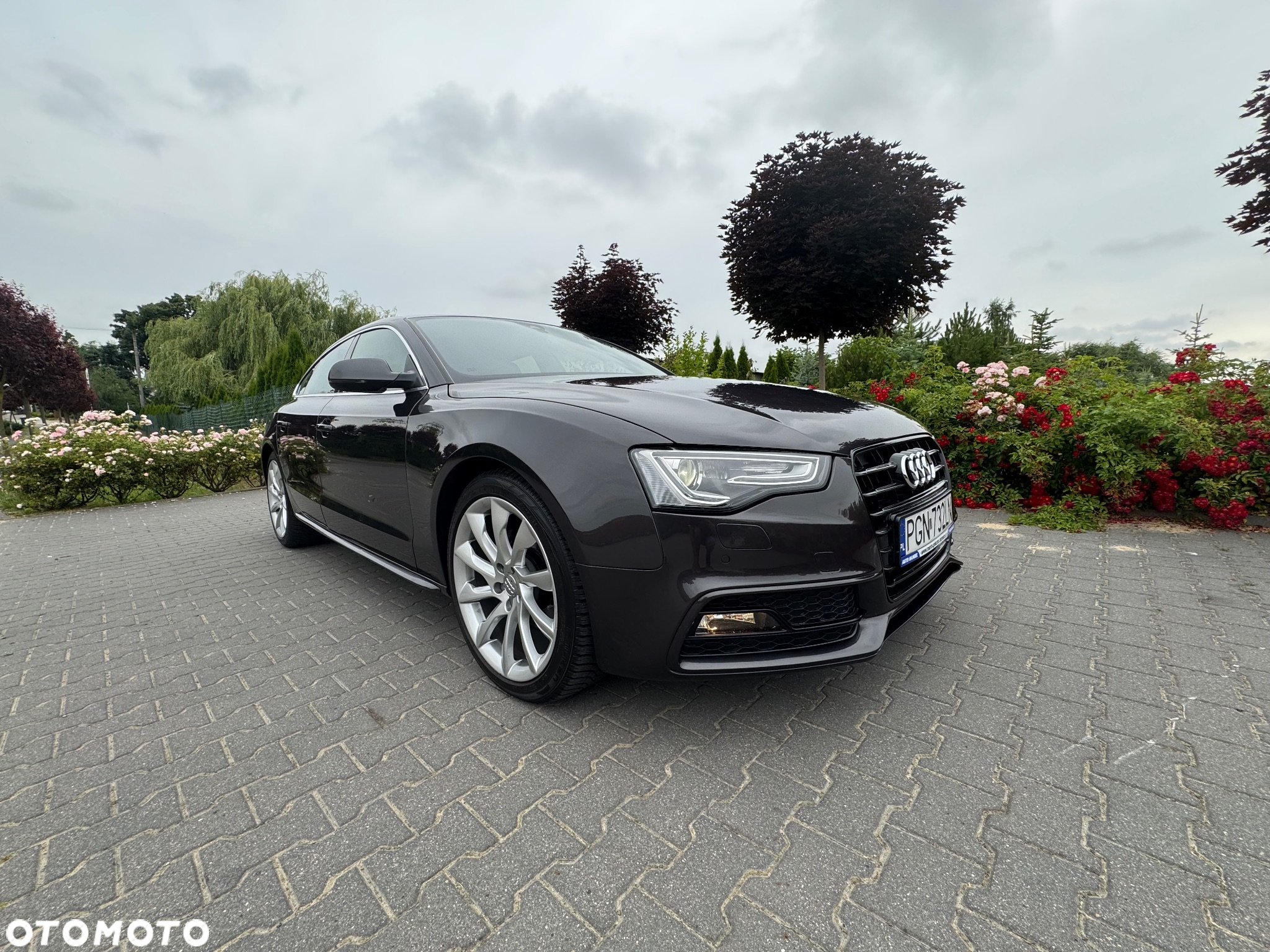 Audi A5 2.0 TDI Sportback quattro DPF S tronic - 8