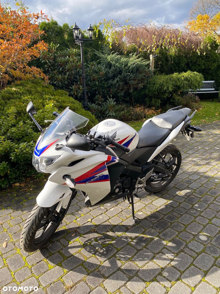 Honda CBR - 3